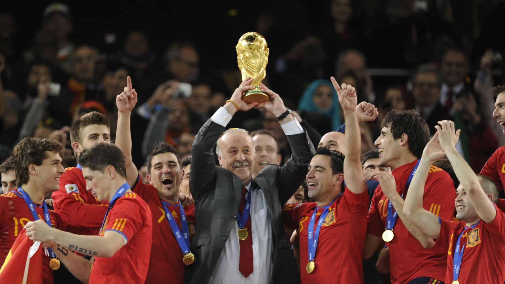 ديل بوسكي كأس العالم 2010