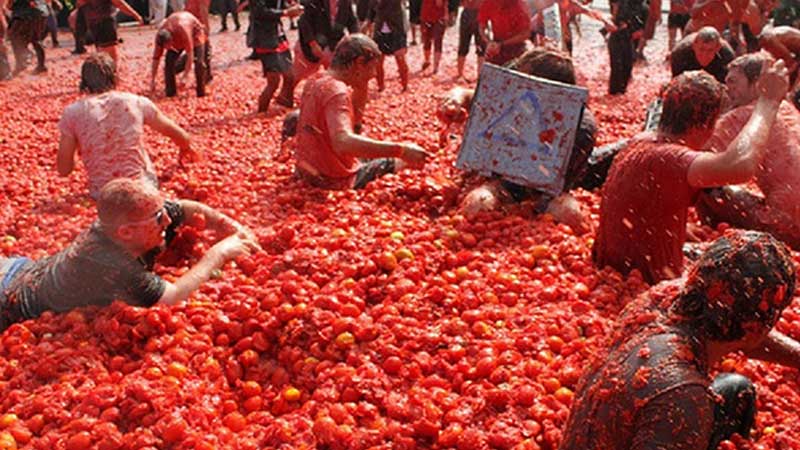 la tomatina dialogue pakistan