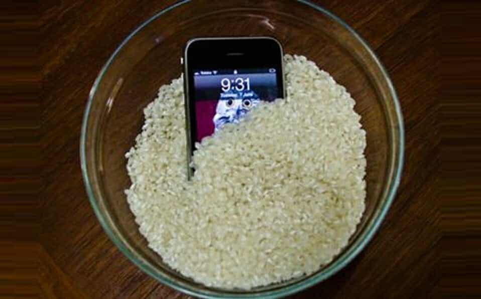 هاتف الأرز