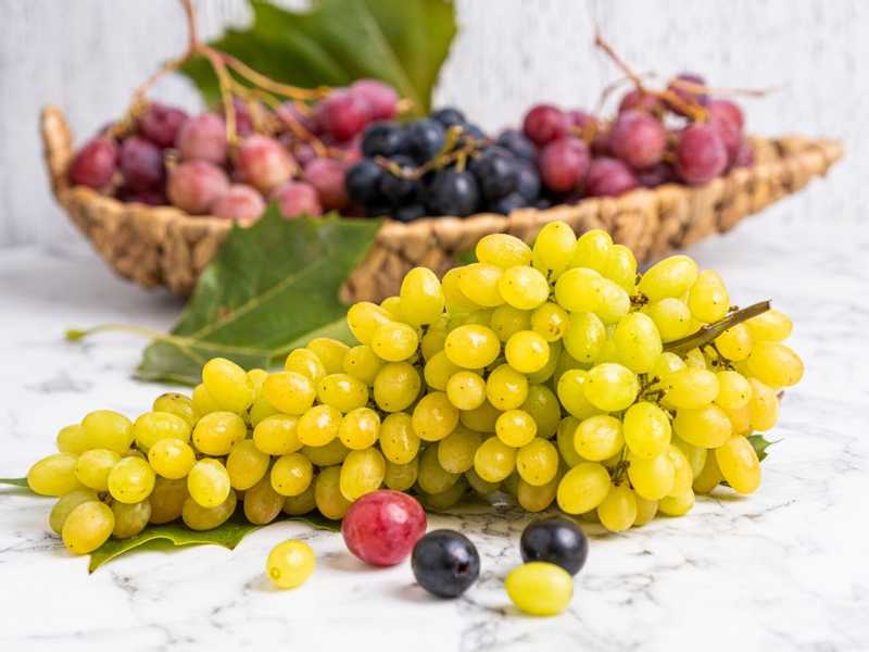 4 فوائد صحية للعنب تجعله أفضل فاكهة لصحة أمعائك 1637477672289 large