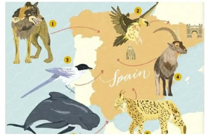 الحيوانات البرية التي تشتهر بها إسبانيا