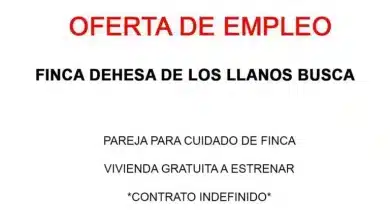 Empleo cuidado y mantenimiento de finca 768x474.jpg