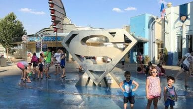 images 11