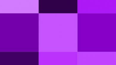 images 8
