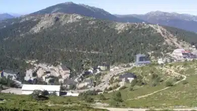 مدينة نافاثرادا