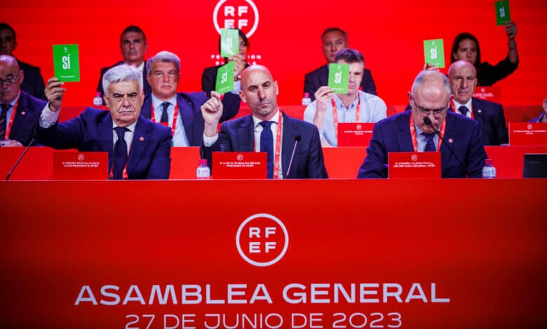 بيدرو روشا الرئيس المؤقت للاتحاد الإسباني لكرة القدم