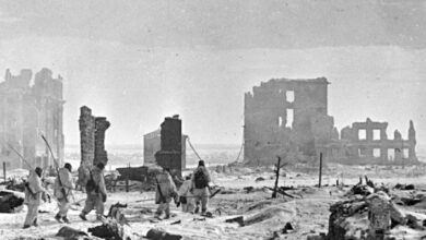 معركة ستالينغراد