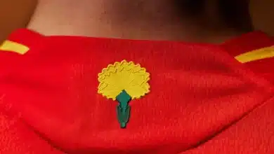 لماذا يحمل قميص إسبانيا في كأس أمم أوروبا زهرة القرنفل؟ @شركة اديداس
