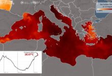 درجة حرارة سطح البحر الأبيض المتوسط