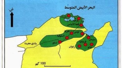 الأصول الأندلسية للألقاب التونسية