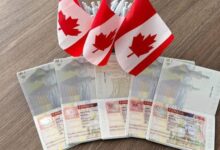 تأشيرة كندا