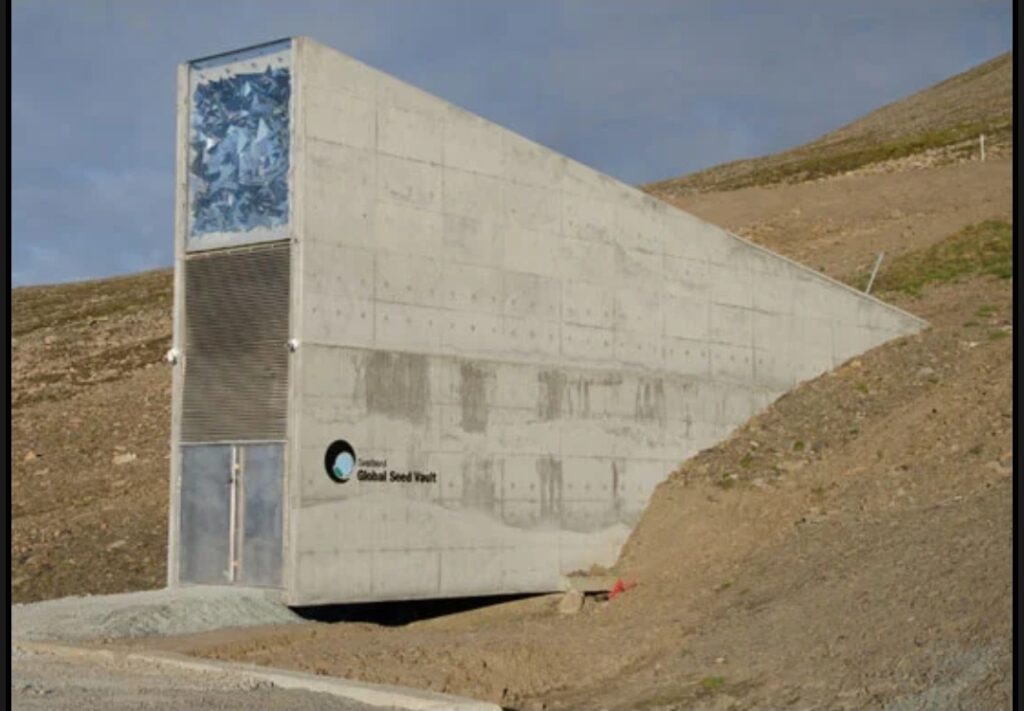 قبو يوم القيامة