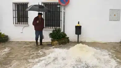 العاصفة مارتا