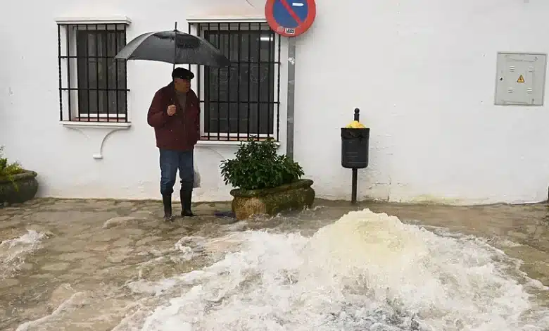 العاصفة مارتا