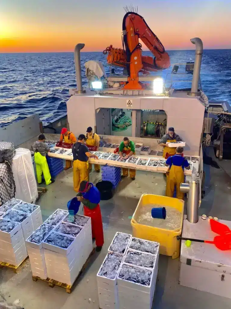 صيادون على متن سفينة