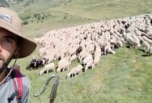فرصة عمل في إسبانيا: 2000 يورو شهريًا لرعاية الأغنام في جبال البرانس