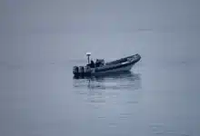 مهاجرين