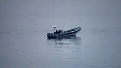 مهاجرين
