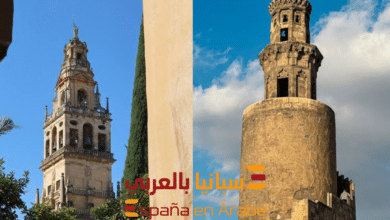 مصر والأندلس عبر التاريخ