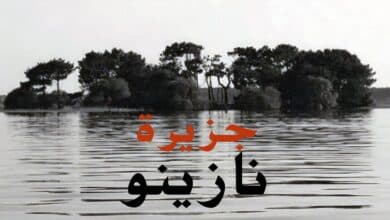 «جزيرة نازينو».. هنا أكل السجناء بعضهم بعضًا أحياءً بمباركة نظام ستالين